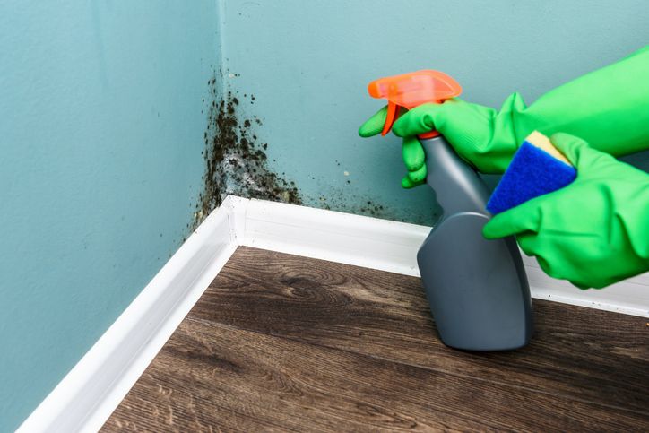 Cleaning Mould