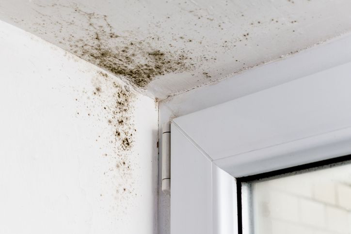 Mould Example