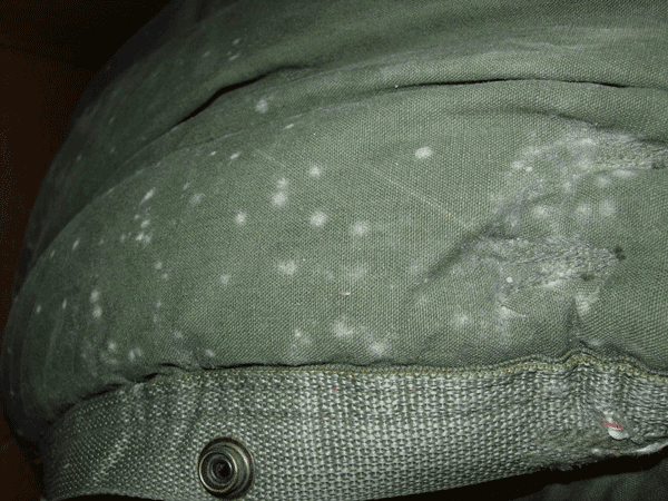 Mould on Fabric