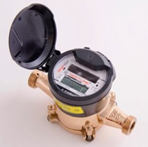 Neptune Digital Meter
