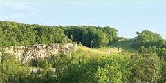 About Halton Region Thumbnail Image