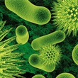 Diseases and Infections - Thumbnail