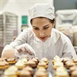 Starter Company Plus - Thumbnail