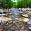Halton’s Environmental Impact Assessment Guideline Update - Thumbnail