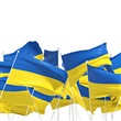Ukrainian newcomers frequently asked questions - Thumbnail