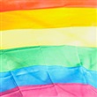 LGBTQ+ - Thumbnail
