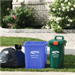 Curbside Collection - Thumbnail