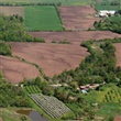 Regional Official Plan Explained - Agriculture - Thumbnail