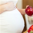 Halton Prenatal Nutrition Program - Thumbnail