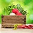 Simply Local - Halton's Farms - Thumbnail