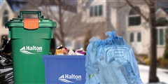 Recycling and Waste Thumbnail Image
