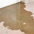 Taking Action - Wastewater (Sewage) Backups in Homes - Thumbnail