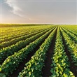 Emergency Preparedness for Rural Communities - Thumbnail