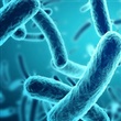 Long-term Care and Retirement Homes - Infection Prevention and Control (IPAC) - Thumbnail