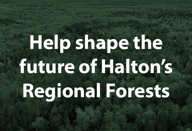 Help shape the future of Halton's Regional Forests