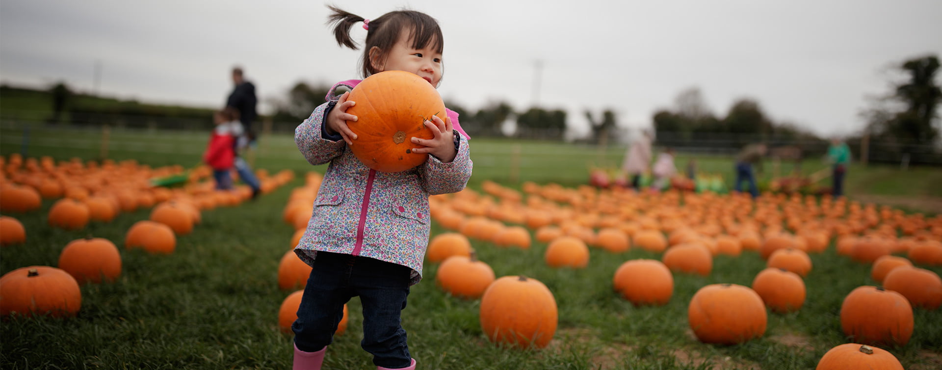 A child holding a pumpkin at a local farm