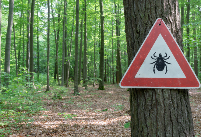tick warning sign in a wooded area