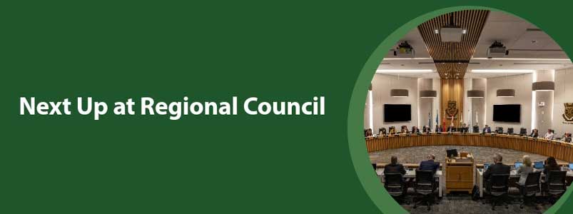 "Next up at Regional Council" with an image of council chambers