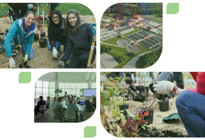 4 pictures: people planting trees, sitting in a meeting room, wastewater treatment plant