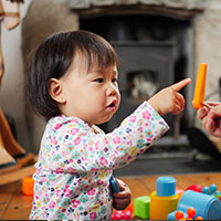 Parenting in the Early Years: thumbnail