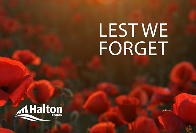 Soft focus photograph of poppies growing in the grass with white text 'Lest we forget' overlaid on top