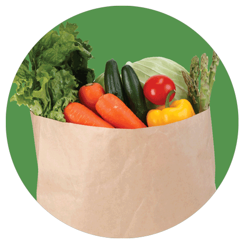 icon of fresh food