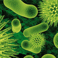 Diseases and Infections: thumbnail