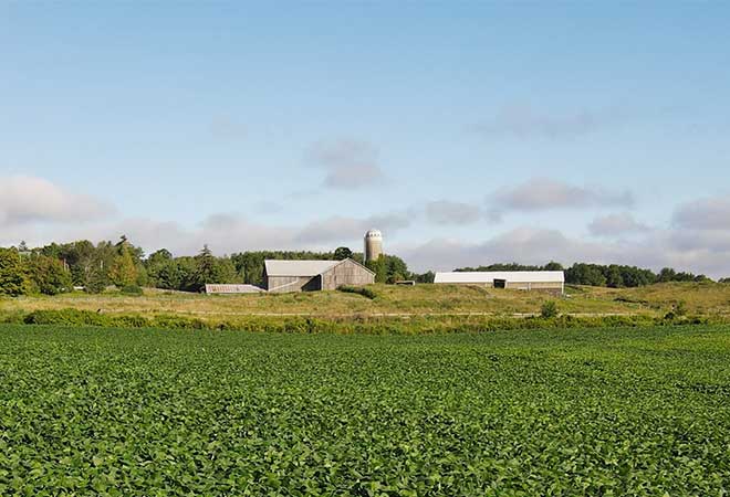 Local farm in Halton.