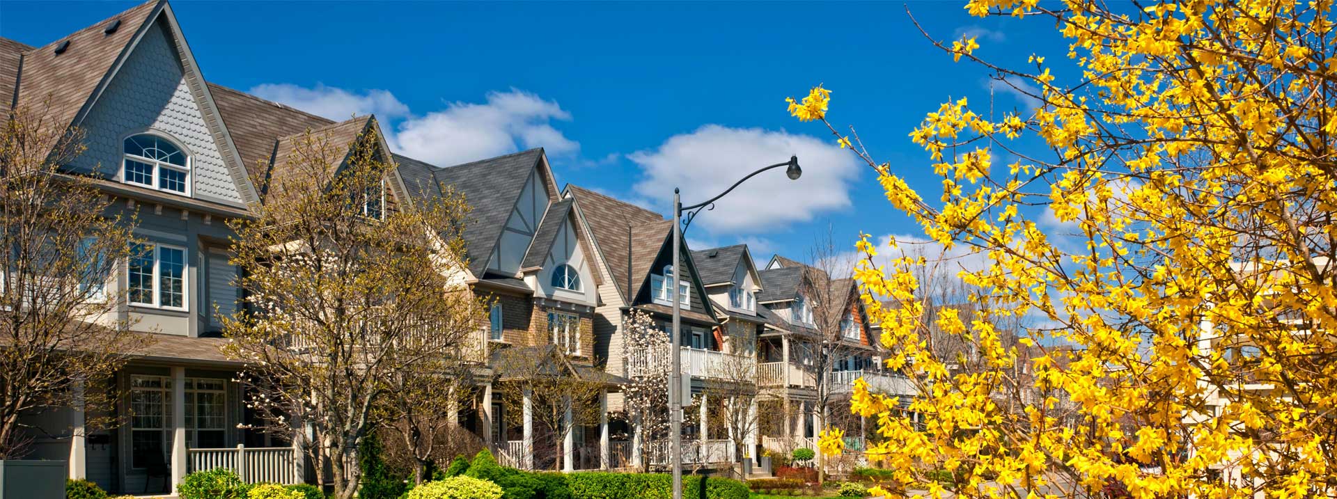 Potential Vacant Homes Tax: thumbnail