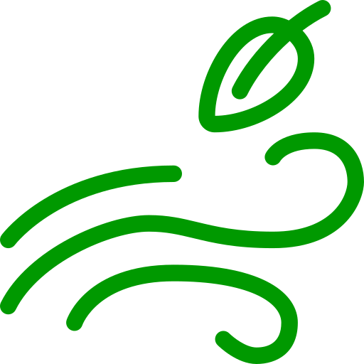 icon of wind