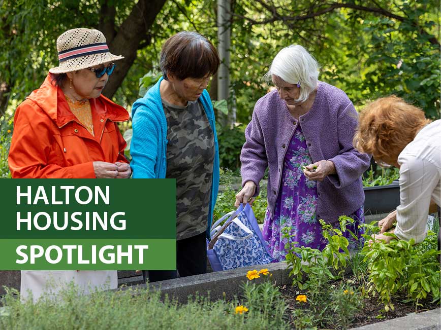 A group of residents in a Halton Housing community garden.