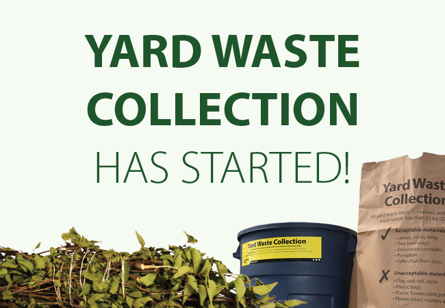 A yard waste bag.