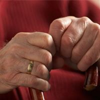 Need Help in Oakville?: thumbnail
