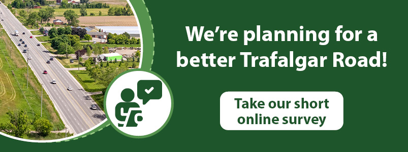 We're planning for a better Trafalgar Road! Take our short online survey.