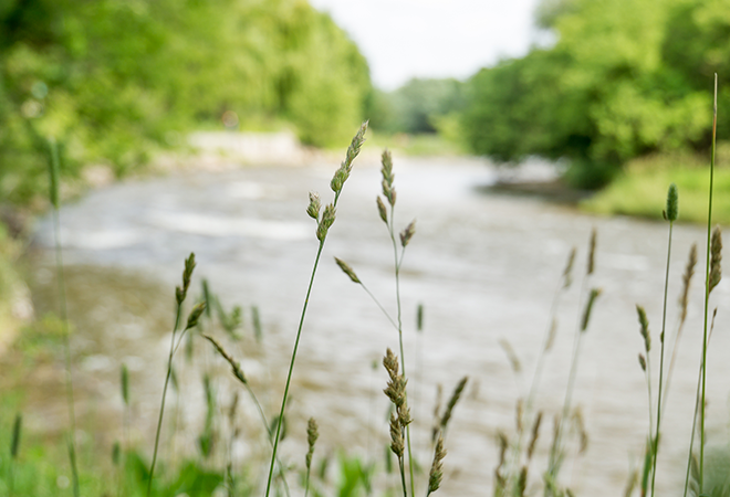 16 mile creek