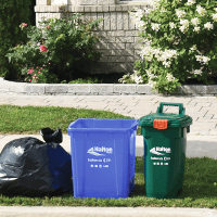 Curbside Collection: thumbnail