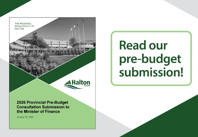 Read our pre budget submission