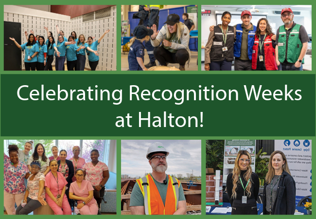 Collage of staff at Halton Region.