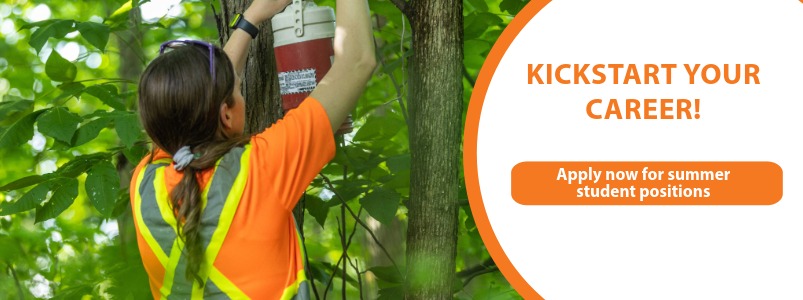 A summer student performing West Nile virus surveillance.