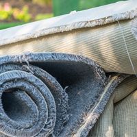 Missed Waste Collection: thumbnail