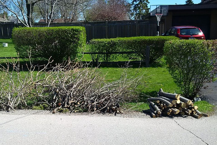 Curbside collection including bulk waste in a pile by the curb, a labeled bin and a biodegradable paper bag.