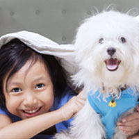 Protecting Your Family and Pets Against Rabies: thumbnail