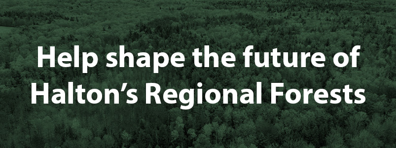 We want to hear from you!  