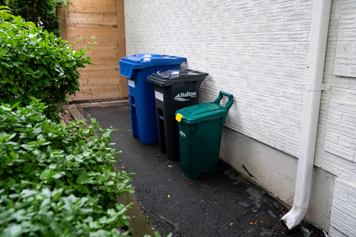 A Blue Cart, a Black Cart, and a Green Cart stored in the walkway on the side of a house. They are positioned against a white brick wall.