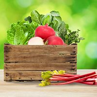 Simply Local - Halton's Farms: thumbnail