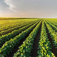 Emergency Preparedness for Rural Communities: thumbnail