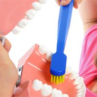 Oral Health Promotion: thumbnail